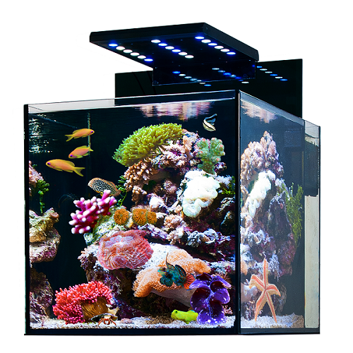 �������� ����������� AQUA MEDIC Cubicus 140
