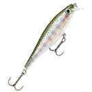 ������ Rapala BX MINNOW BXM10-RT