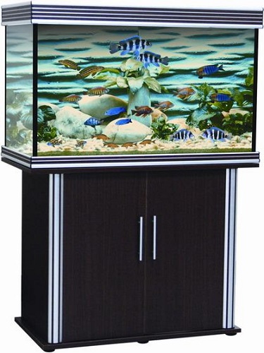 �������� Anubias B-1000F+ 235� T5 ������