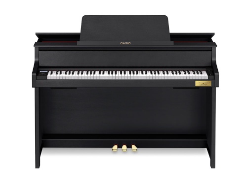�������� ������� Casio GP-310BK