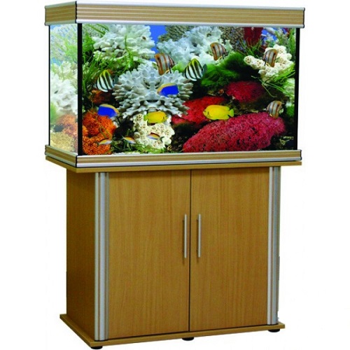����� Anubias B-1000FX ��� ���. B-1000F ���