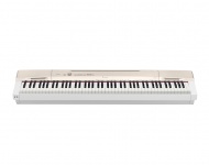 �������� ���������� Casio Privia PX-160GD
