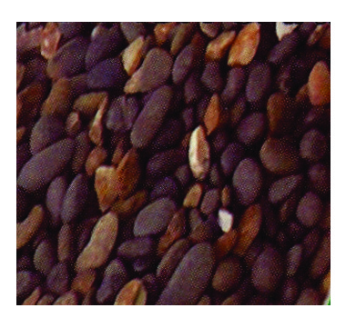 ����� ������ AQUA-PRO Mix Black Sand 4-8 �� 10 ��