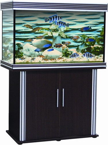 ����� Anubias B-1000FX ��� ���. B-1000F ������