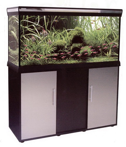 �������� Anubias D-850F 190� T5 �����-�����������