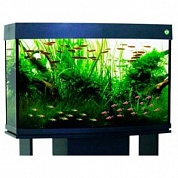 �������� Anubias A-1000+ 235� ������