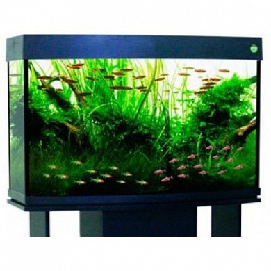 �������� Anubias A-1000+ 235� ������