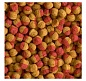 Tetra Cichlid Colour 500��