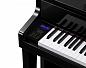 �������� ������� Casio GP-510BP