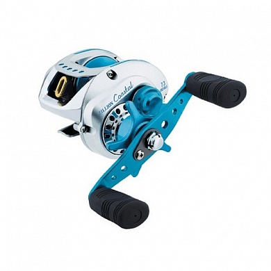 ������� ����������������� DAIWA TD ZILLION COASTAL 100HSA