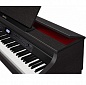 �������� ���������� Casio Celviano AP-260B�