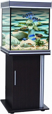�������� Anubias B-650M 240� T8 ���
