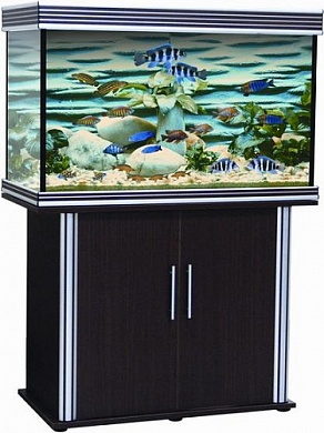 �������� Anubias B-1000F+ 235� T5 ������