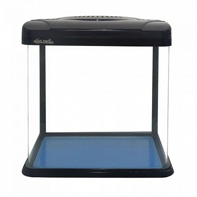 �������� Xilong 75� ������ LED