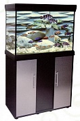 ����� Anubias D-1500FX ��� ���. D-1500F ������