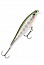 ������ Rapala BX MINNOW BXM10-RT