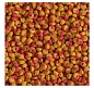 Tetra Cichlid Colour Mini 500��
