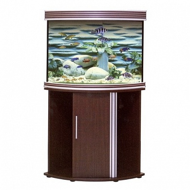 �������� Anubias B-1000S 160� T5 ���
