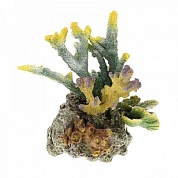 ������ ����������� AQUA-PRO LAY-OUT LIVE CORAL TZ-S40B