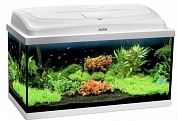 �������� Aquael CLASSIC-60 ����� 54�
