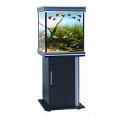 �������� Anubias B-600M 205� T5 ������