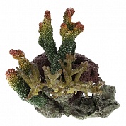 ������ ����������� AQUA-PRO LAY-OUT LIVE CORAL TZ-S40C
