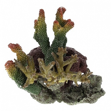 ������ ����������� AQUA-PRO LAY-OUT LIVE CORAL TZ-S40C