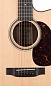 ������������������� ������ � ������� MARTIN DC16GTE