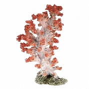 ������ ����������� AQUA-PRO Replica LIVE CORAL QFS-10B