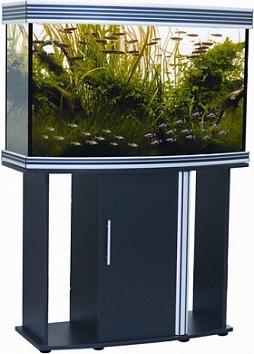 �������� Anubias B-1000H+ 210� ������