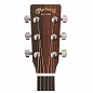������������ ������ �������� MARTIN D-16RGT