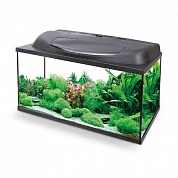 �������� Aquael AQUA4HOME 80 112�