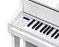 �������� ������� Casio GP-310WE