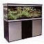 �������� Anubias D-1000F 245� T5 ������