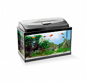 �������� Aquael CLASSIC ��� 60 54�