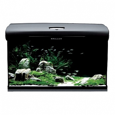 �������� AQUAEL BRILLUX BIO 80 ������