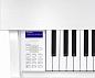 �������� ������� Casio GP-310WE