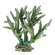 ������ ����������� AQUA-PRO Replica LIVE CORAL QFS-15B