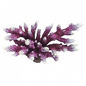 ������ ����������� AQUA-PRO Replica LIVE CORAL QFS-01B