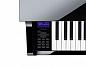 �������� ������� Casio GP-510BP
