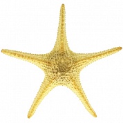 ������ ������� ����������� AQUA-PRO ARITIFICIAL LIVE CORAL QFS-B124