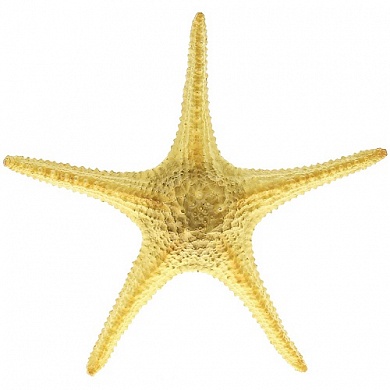 ������ ������� ����������� AQUA-PRO ARITIFICIAL LIVE CORAL QFS-B124