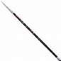 ������� ��������������� Shimano JOY 10-400 TE POLE