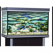 �������� Anubias B-850F+ 200� T5 ������