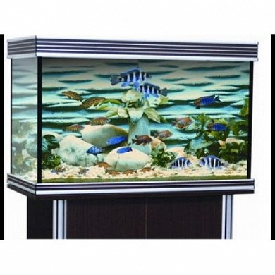 �������� Anubias B-850F+ 200� T5 ������