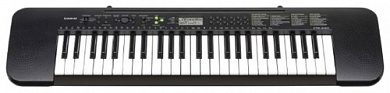 ���������� Casio CTK-240