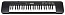 ���������� Casio CTK-240