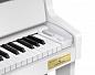 �������� ������� Casio GP-310WE