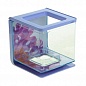 �������� Hagen Marina Betta Kit Flower 2�