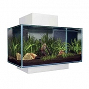 �������� Hagen Fluval Edge LED 23� �����